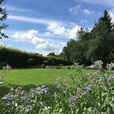 Flair Hotel Grüner Baum Donaueschingen Dış mekan fotoğraf