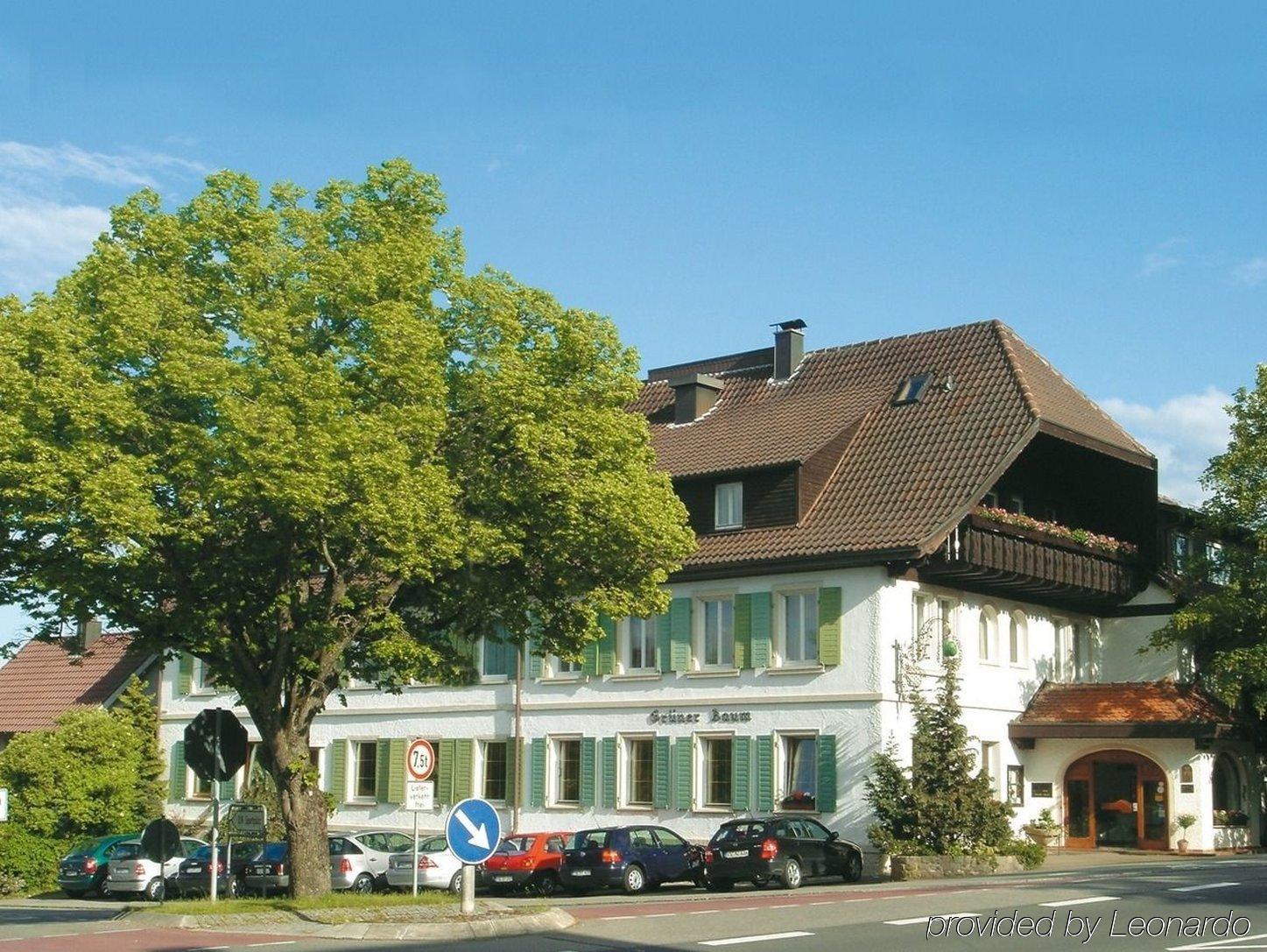 Flair Hotel Grüner Baum Donaueschingen Dış mekan fotoğraf