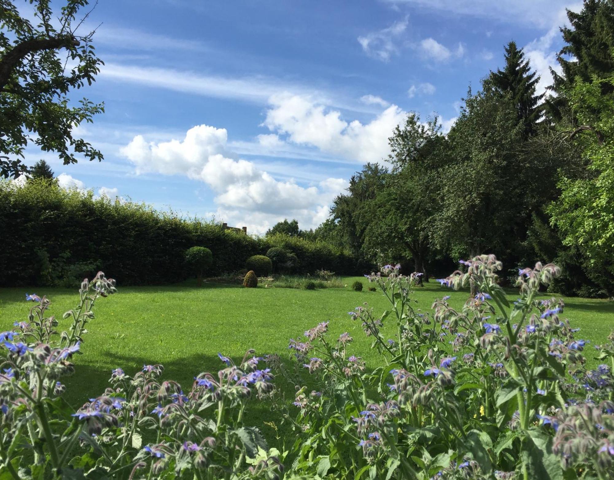 Flair Hotel Grüner Baum Donaueschingen Dış mekan fotoğraf