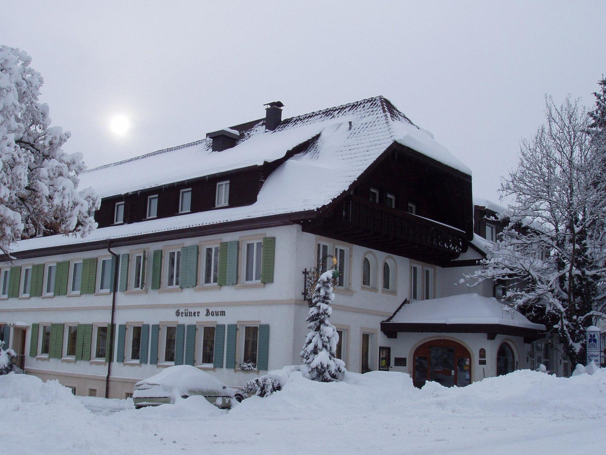 Flair Hotel Grüner Baum Donaueschingen Dış mekan fotoğraf