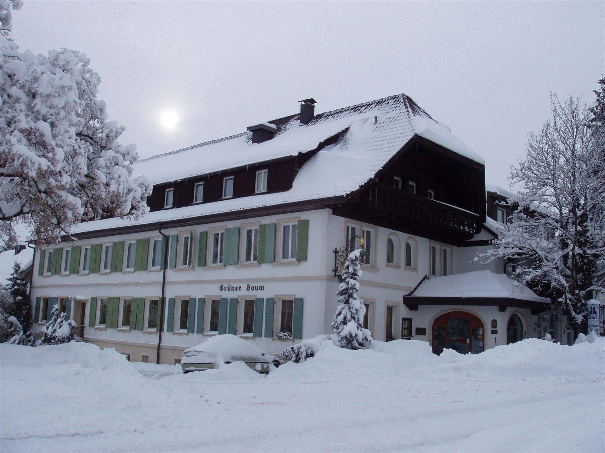 Flair Hotel Grüner Baum Donaueschingen Dış mekan fotoğraf